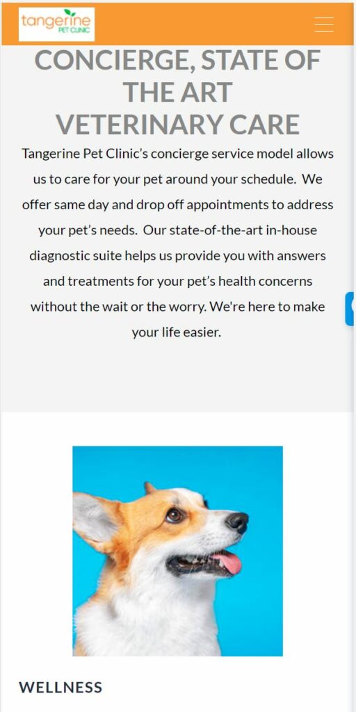 SEO - Search Engine Optimization Services